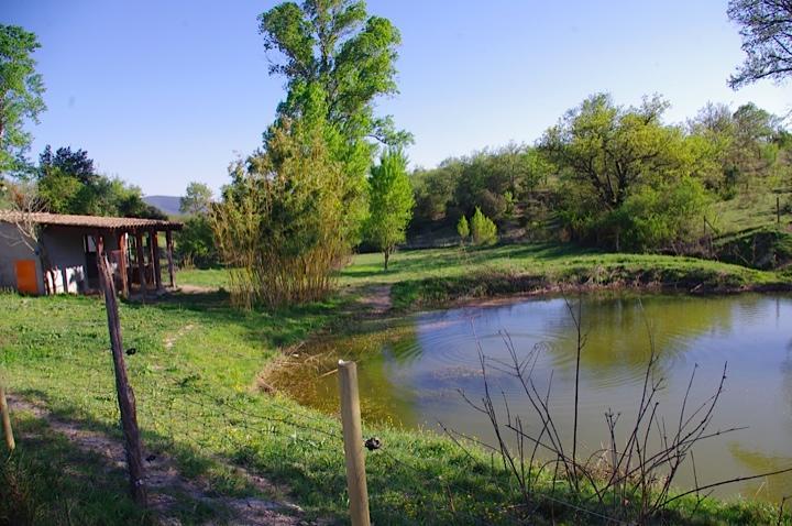 Domaine De Chadeyron Hotel Lagorce  Buitenkant foto