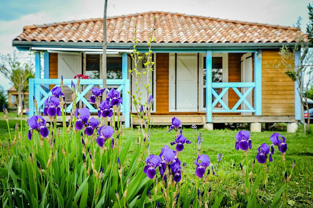Domaine De Chadeyron Hotel Lagorce  Buitenkant foto